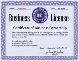 Business License